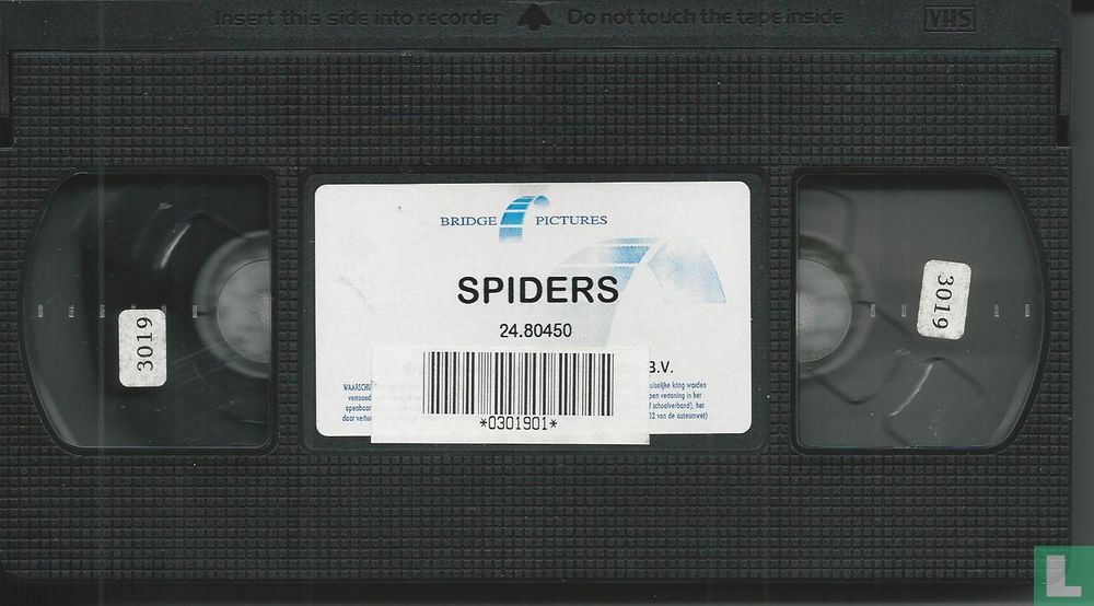 Spiders 