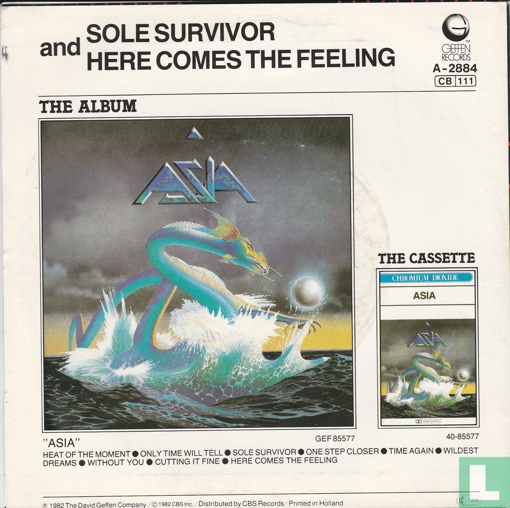 Sole Survivor