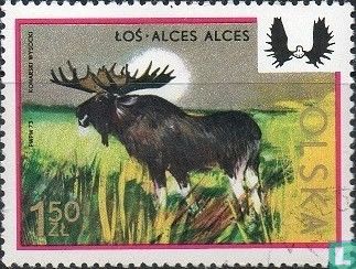Wilde Tiere