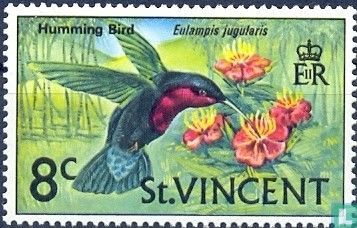 Colibri madère