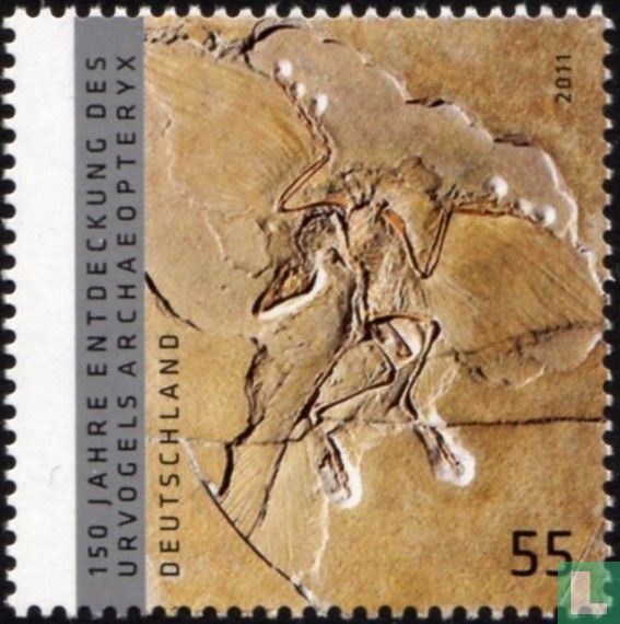 Archaeopteryx