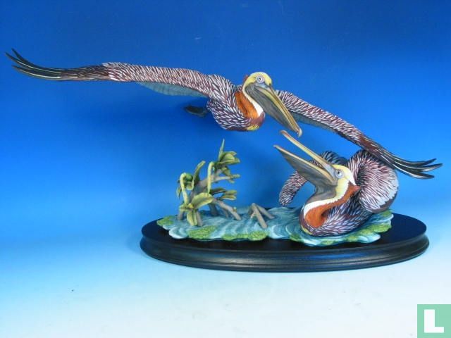 Pelican Brun