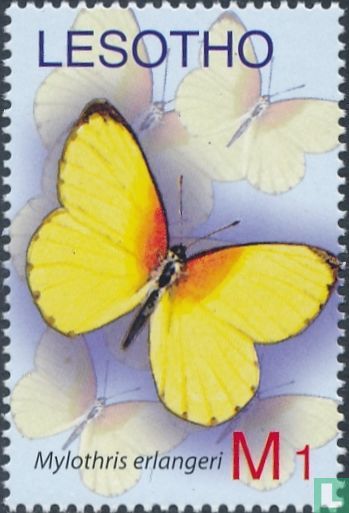 Papillons       
