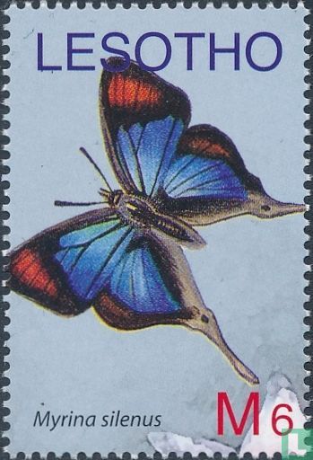 Papillons  