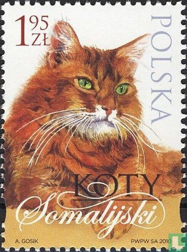 Chats