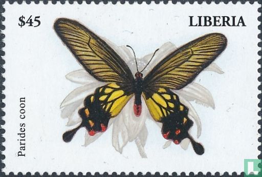 Butterflies   