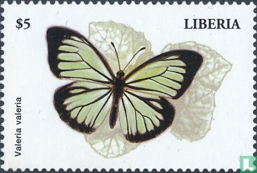 Butterflies      