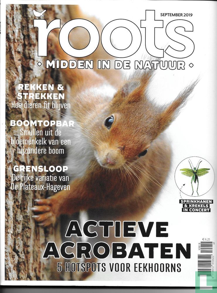 Roots 9