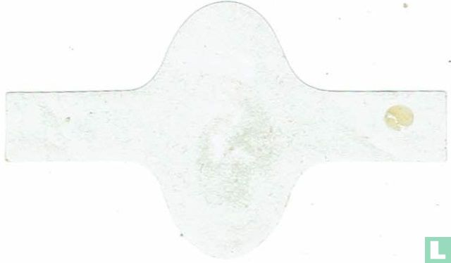 Bachschmidt