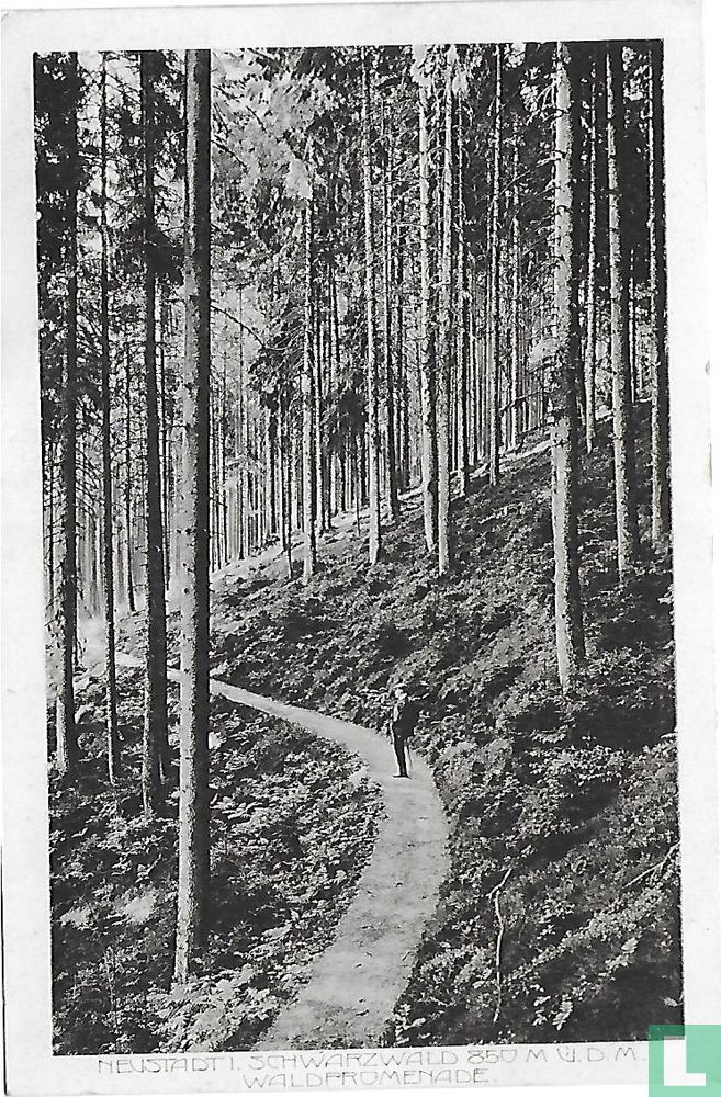 Waldpromenade