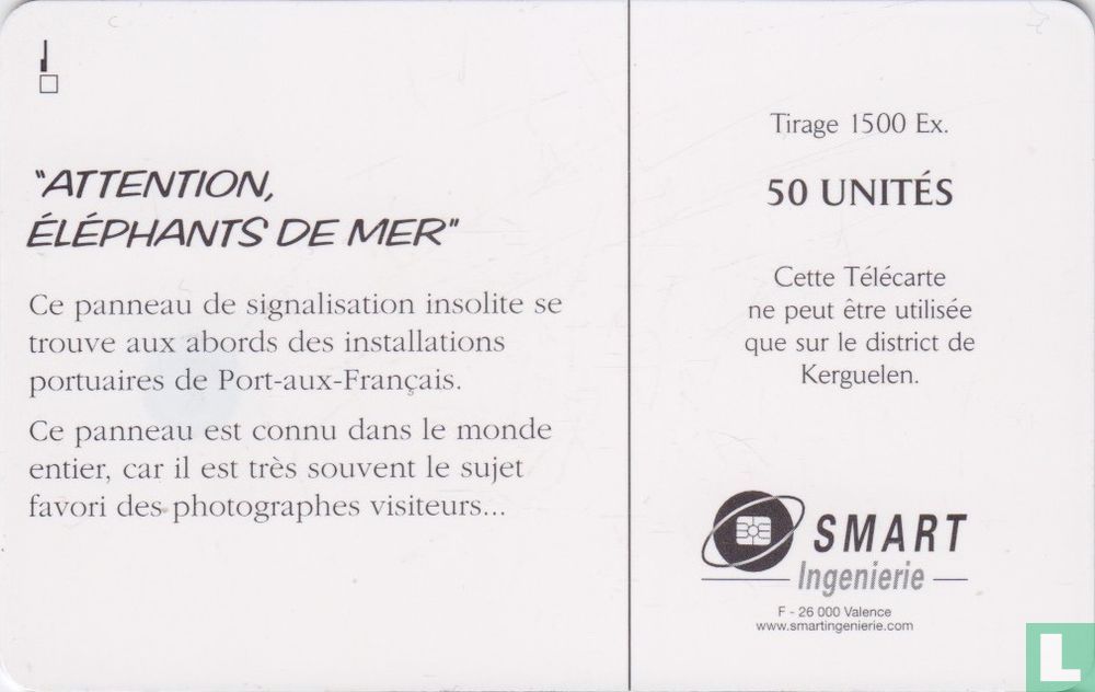 Attention éléphants de mer