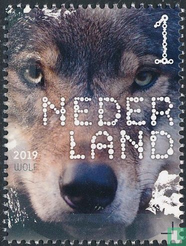 Loup