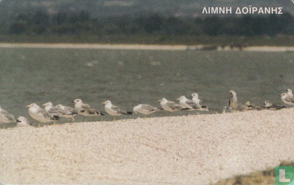 Doirani