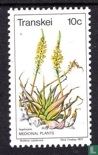 Medicinal plants