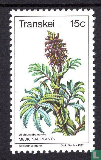 Medicinal plants