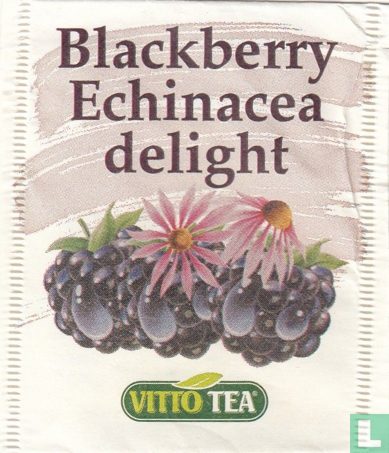 Blackberry Echinacea delight
