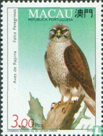 Oiseaux de proie
