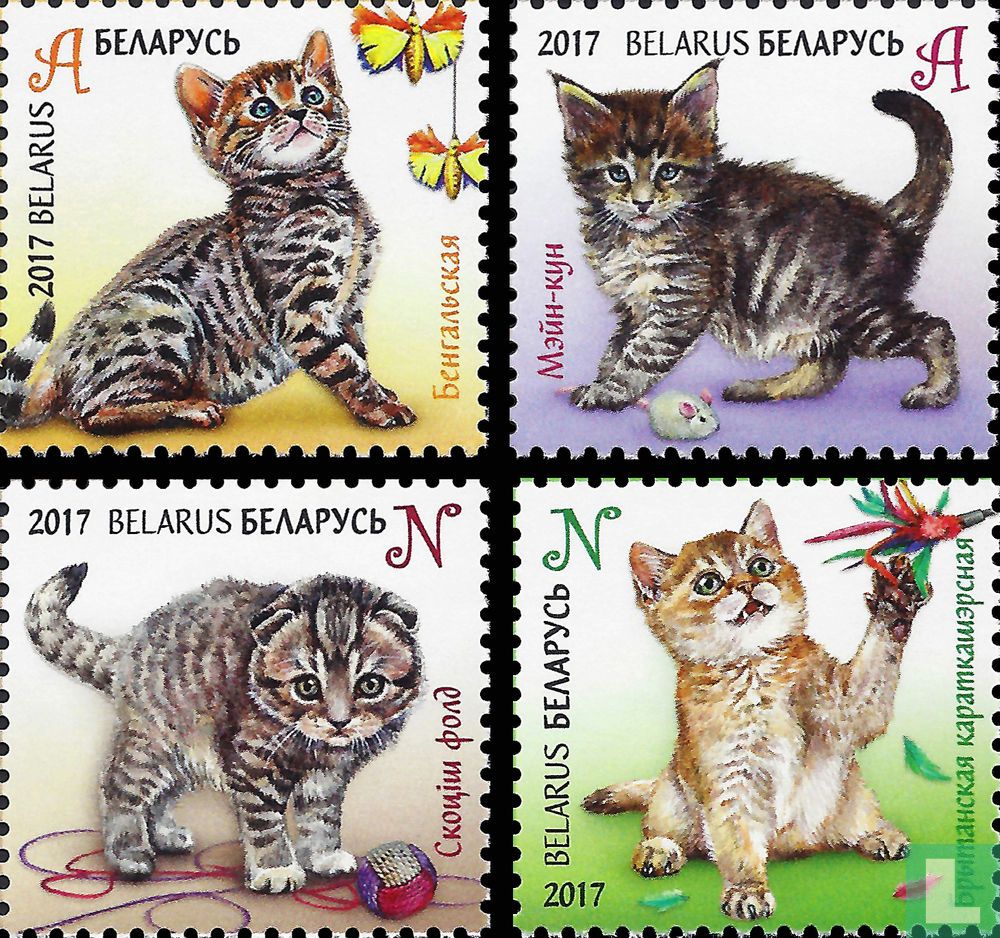 Chats