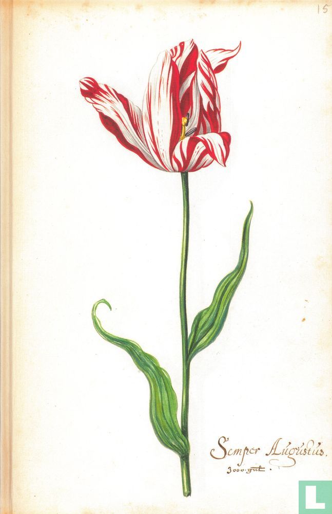 Het tulpboek