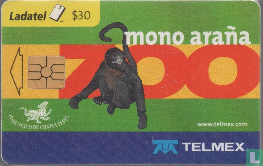ZOO Mono Araña