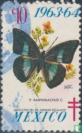 Tuberculose Mexico Vlinder