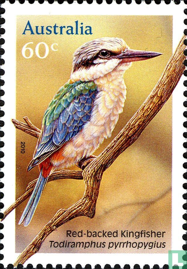Eisvogel