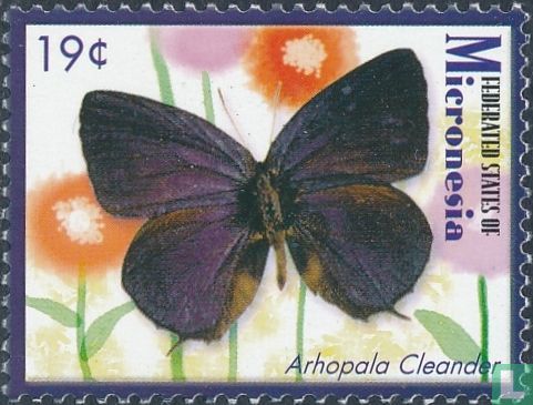 Butterflies    