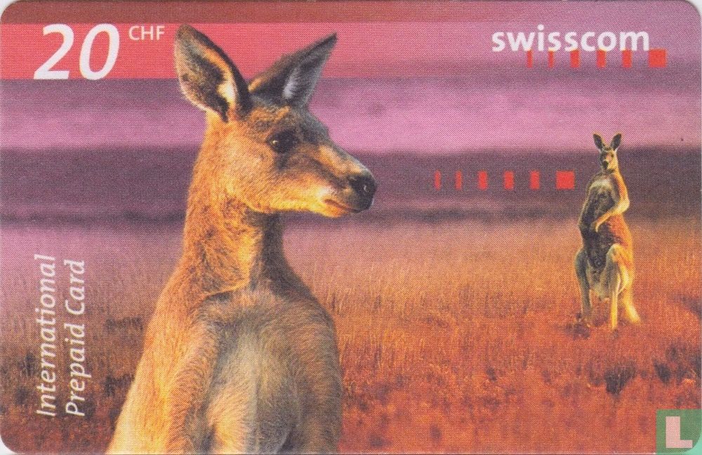 Kängurus