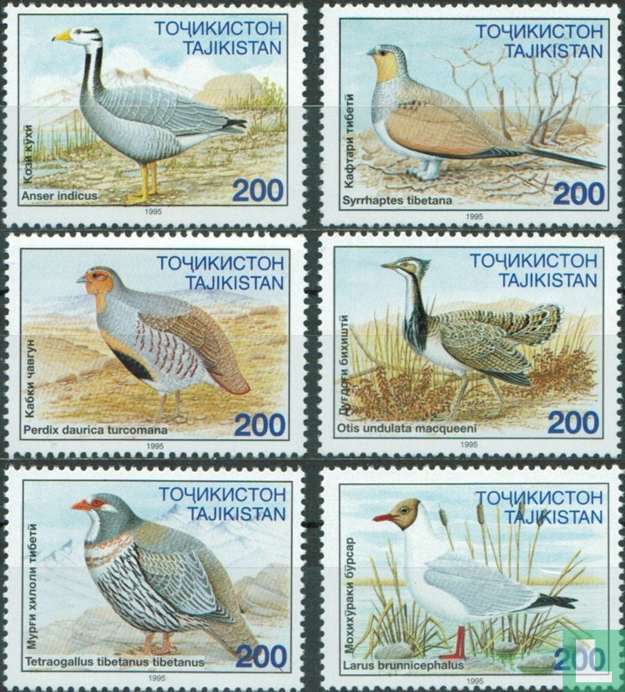 Ooiseaux