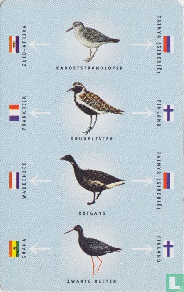 De Waddenvereniging