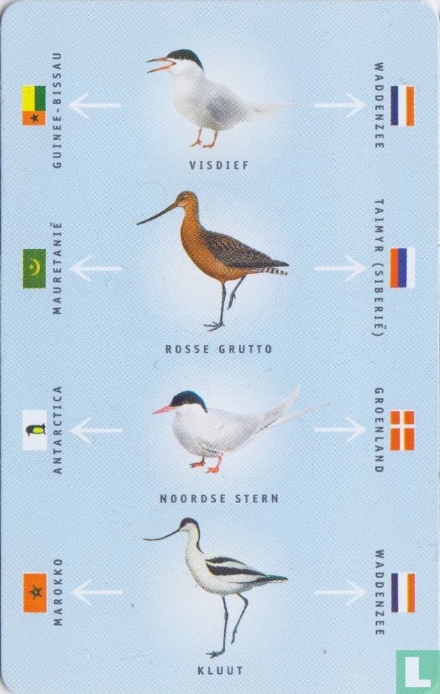 De Waddenvereniging