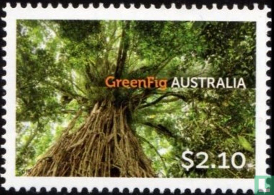 Australische bomen 