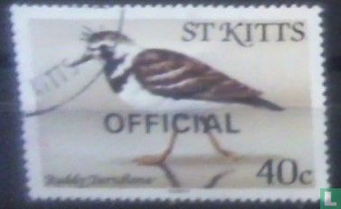 Oiseaux avec surcharge