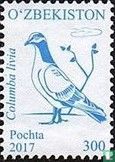 Oiseaux