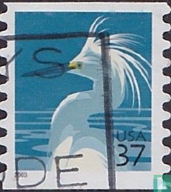 Aigrette neigeuse