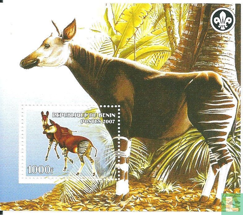 animals