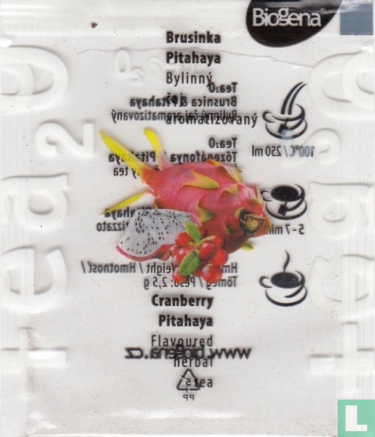 Brusinka Pitahaya 