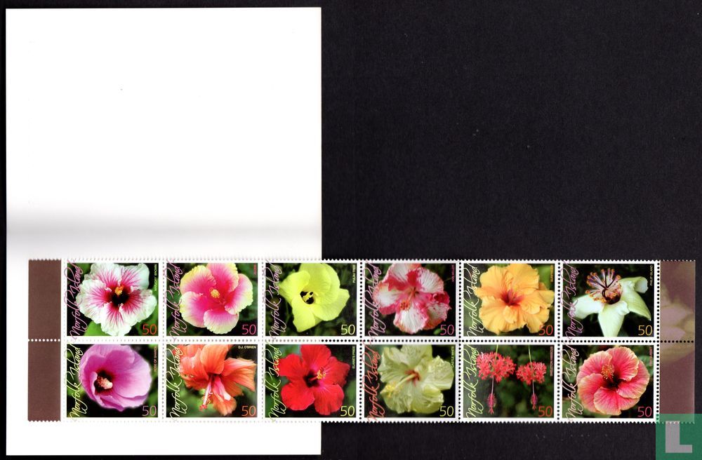 Hibiskus