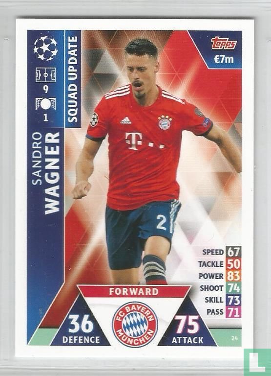 Sandro Wagner