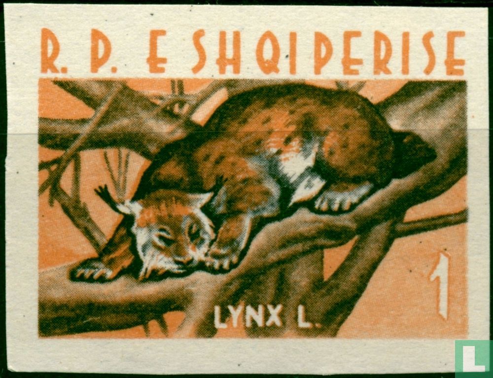Eurasischer Luchs