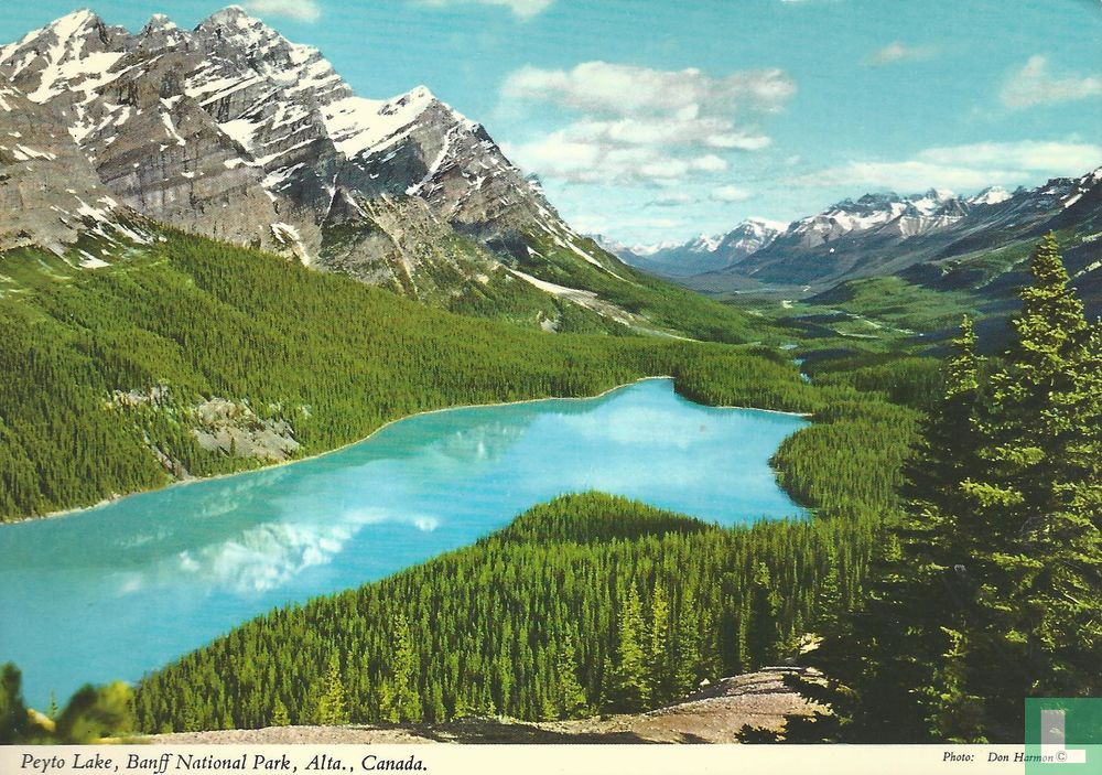 Peyto Lookout