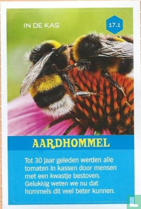 Aardhommel