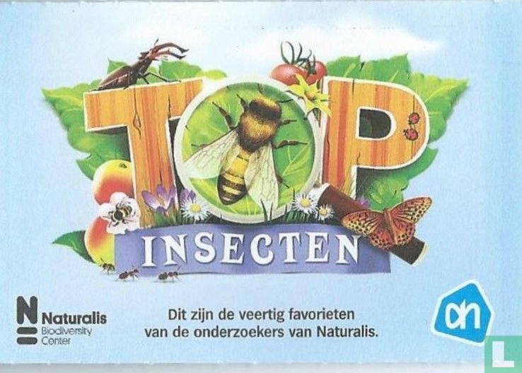 Lieveheersbeestje