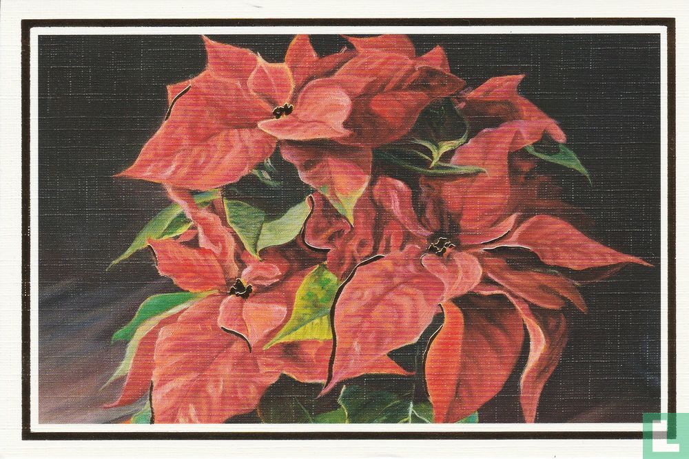 Feestdagen: Kerstster 