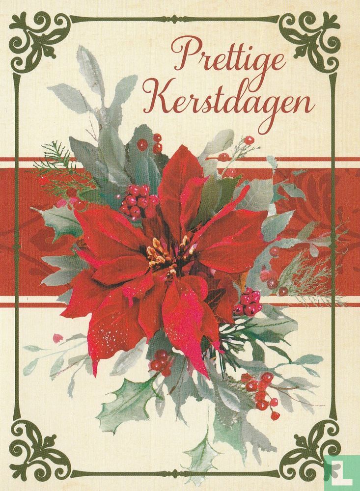 Feestdagen: Kerstster