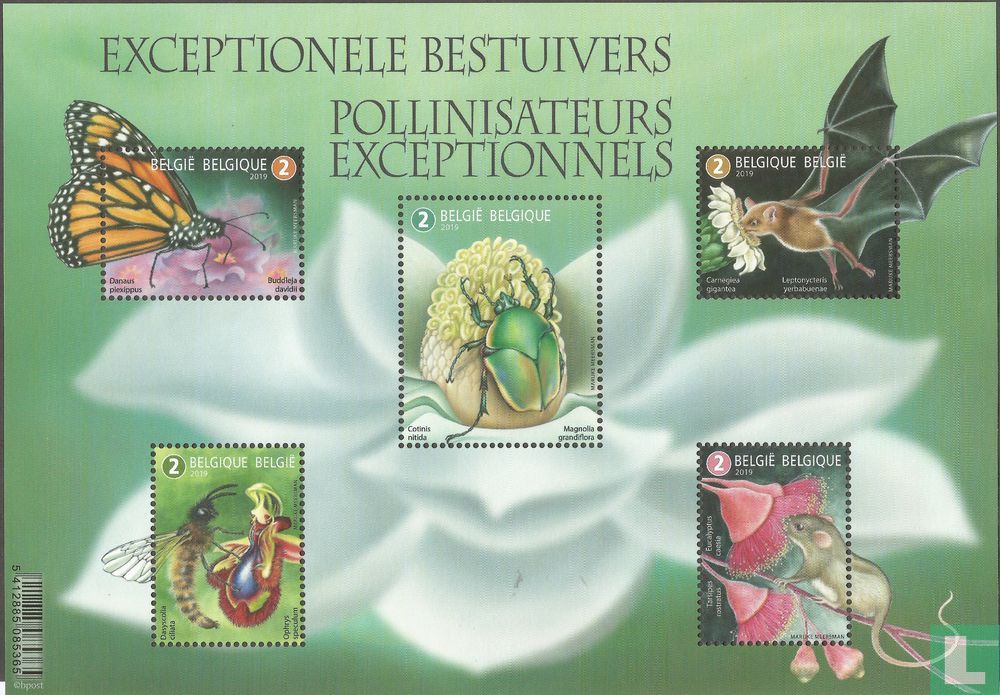 Exceptional Pollinators