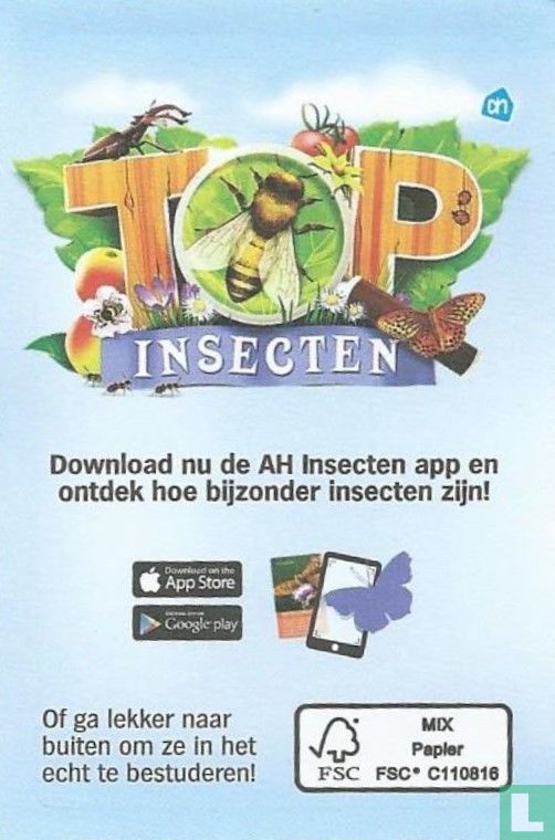 Groen Zuringhaantje