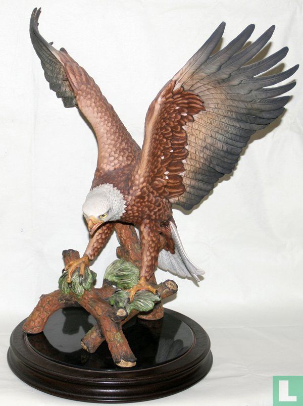 Weißkopf-Seeadler