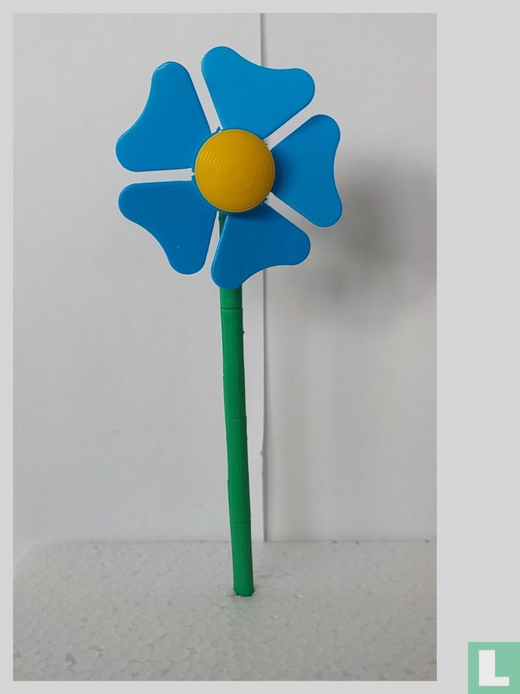 Blume 