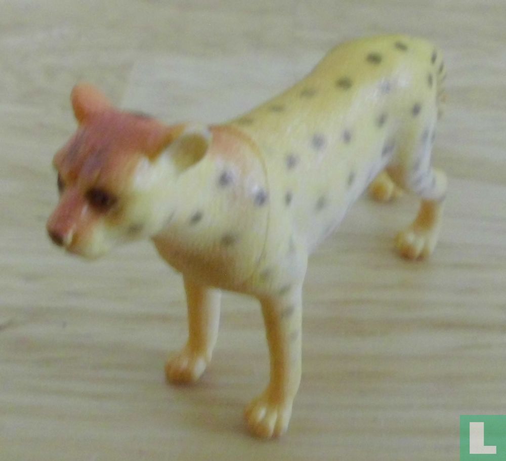 Leopard
